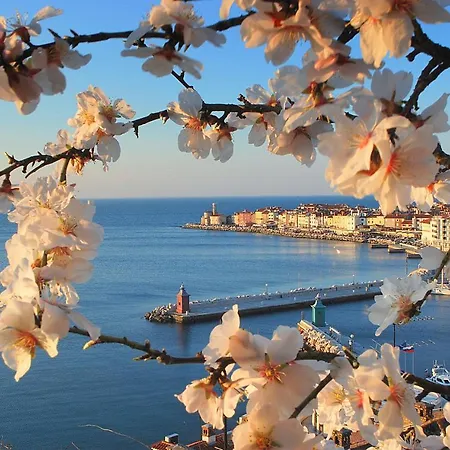 Appartamento Seaview
